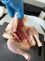 IMG_0552.jpeg