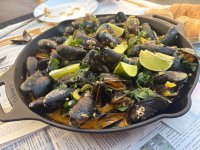 IMG_5508.jpeg