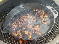 IMG_5606.jpeg